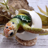 Green Baby Sea Turtle Hatching Figure (1 turtle approx. 3+ inches) Green Painted Resin Baby Turtle Egg Figure for coastal home décor!