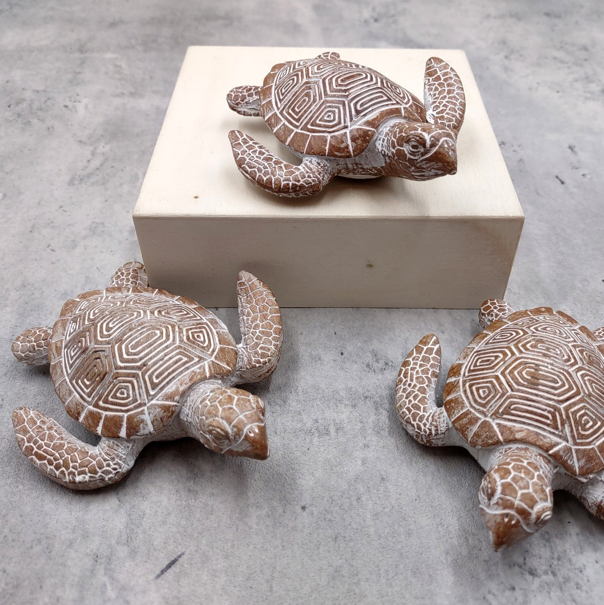 Brown Sea Turtle Figurine Weathered Resin (1 turtle approx. 3.75+ inches) Brown White Sea Turtle Statue for beach home decor & display!