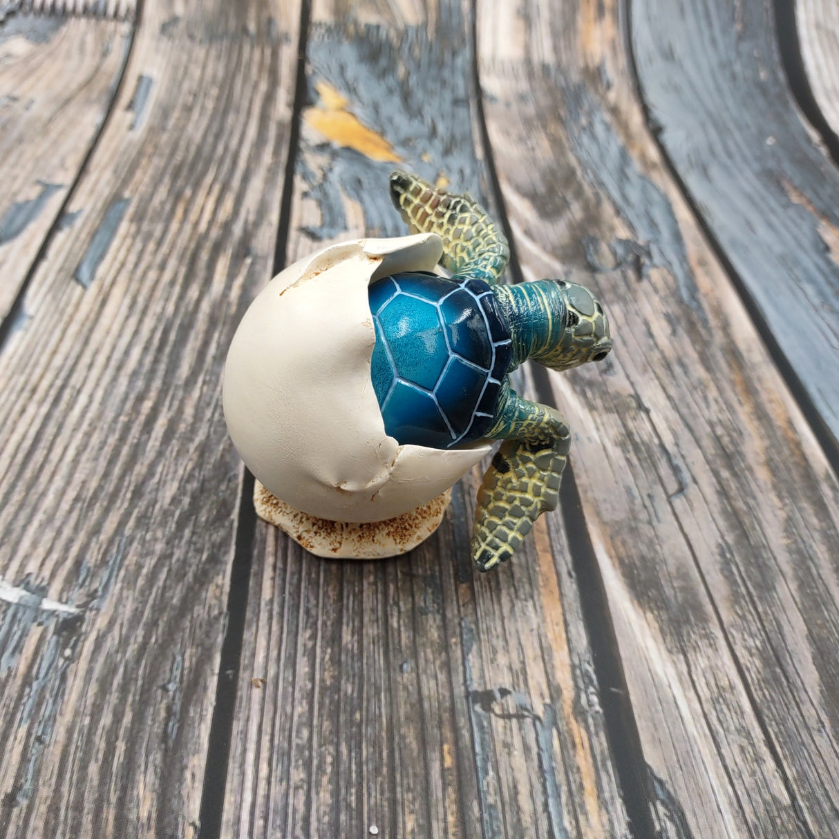 Blue Baby Sea Turtle Hatching Figure (1 turtle approx. 3+ inches) Blue Painted Resin Baby Turtle Egg Figure for coastal home décor!