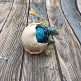 Blue Baby Sea Turtle Hatching Figure (1 turtle approx. 3+ inches) Blue Painted Resin Baby Turtle Egg Figure for coastal home décor!