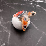 Sea Turtle Egg Hatchling Red Shell (1 sea turtle approx. 2+ inches) Red Painted Resin Baby Sea Turtle Egg Figure for coastal home décor!