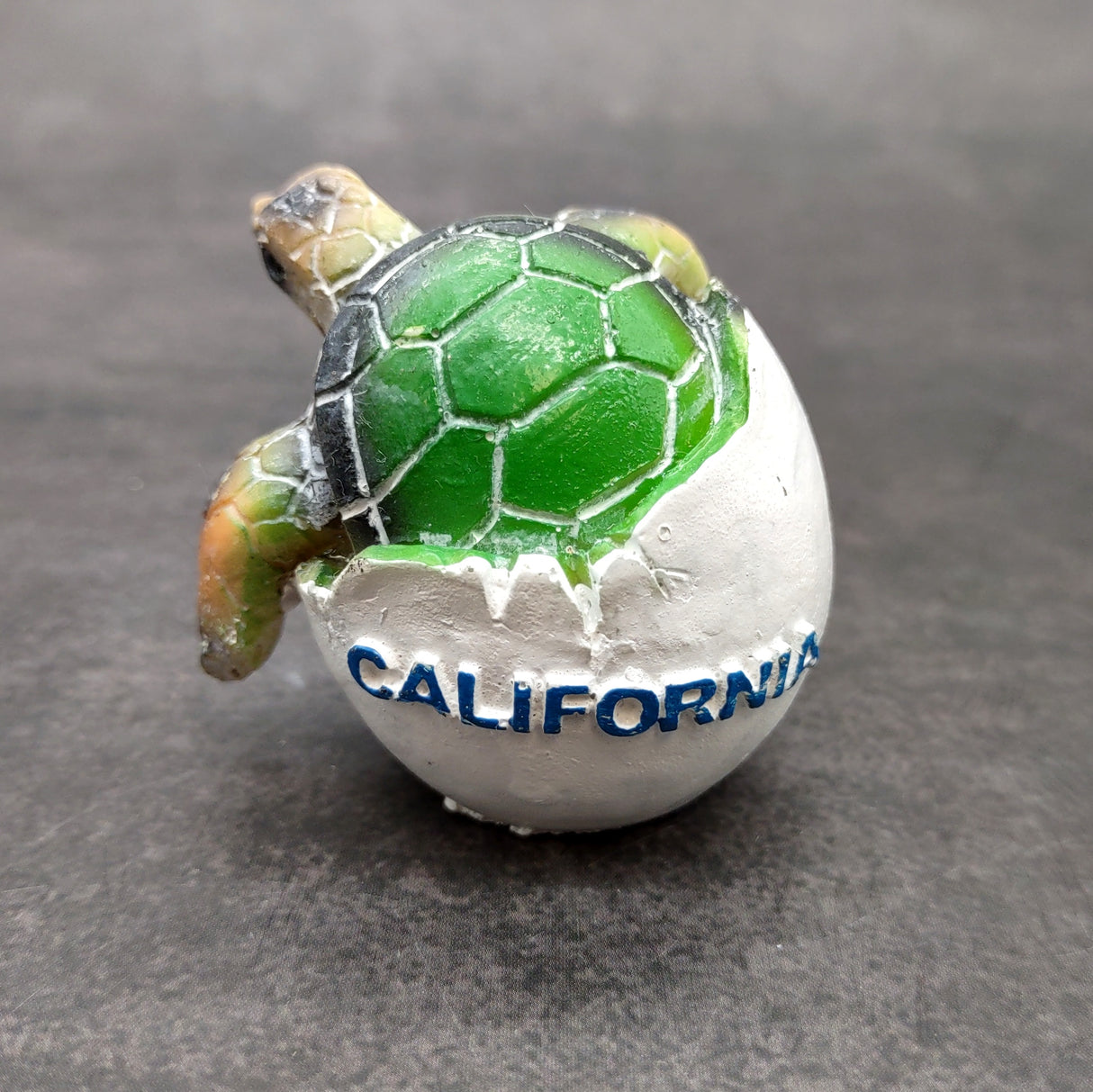 Sea Turtle Egg Hatchling Green Shell (1 sea turtle approx. 2+ inches) Green Painted Resin Baby Sea Turtle Egg for coastal home décor!