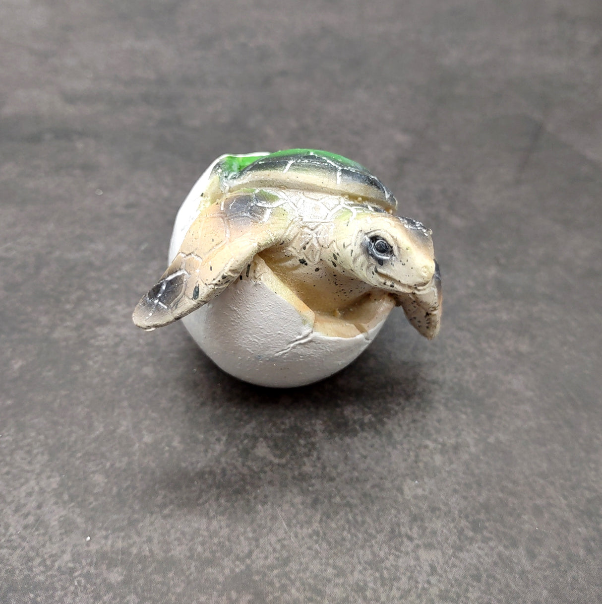 Sea Turtle Egg Hatchling Green Shell (1 sea turtle approx. 2+ inches) Green Painted Resin Baby Sea Turtle Egg for coastal home décor!