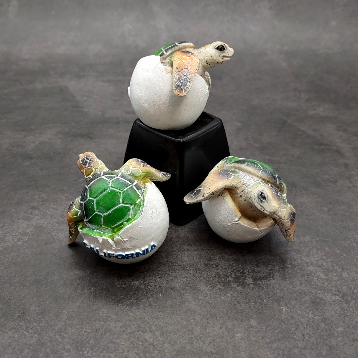 Sea Turtle Egg Hatchling Green Shell (1 sea turtle approx. 2+ inches) Green Painted Resin Baby Sea Turtle Egg for coastal home décor!