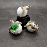 Sea Turtle Egg Hatchling Green Shell (1 sea turtle approx. 2+ inches) Green Painted Resin Baby Sea Turtle Egg for coastal home décor!