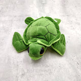 Big Eyed Sea Turtle Plush Animal (1 stuffed animal approx. 6+ inches long) Large Eyed Plush Sea Turtle Toy ideal gift for someone special!
