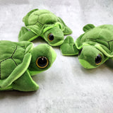 Big Eyed Sea Turtle Plush Animal (1 stuffed animal approx. 6+ inches long) Large Eyed Plush Sea Turtle Toy ideal gift for someone special!