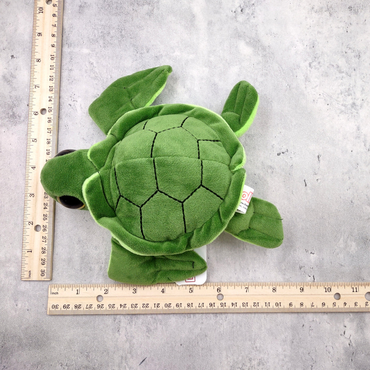 Big Eyed Sea Turtle Plush Animal (1 stuffed animal approx. 6+ inches long) Large Eyed Plush Sea Turtle Toy ideal gift for someone special!