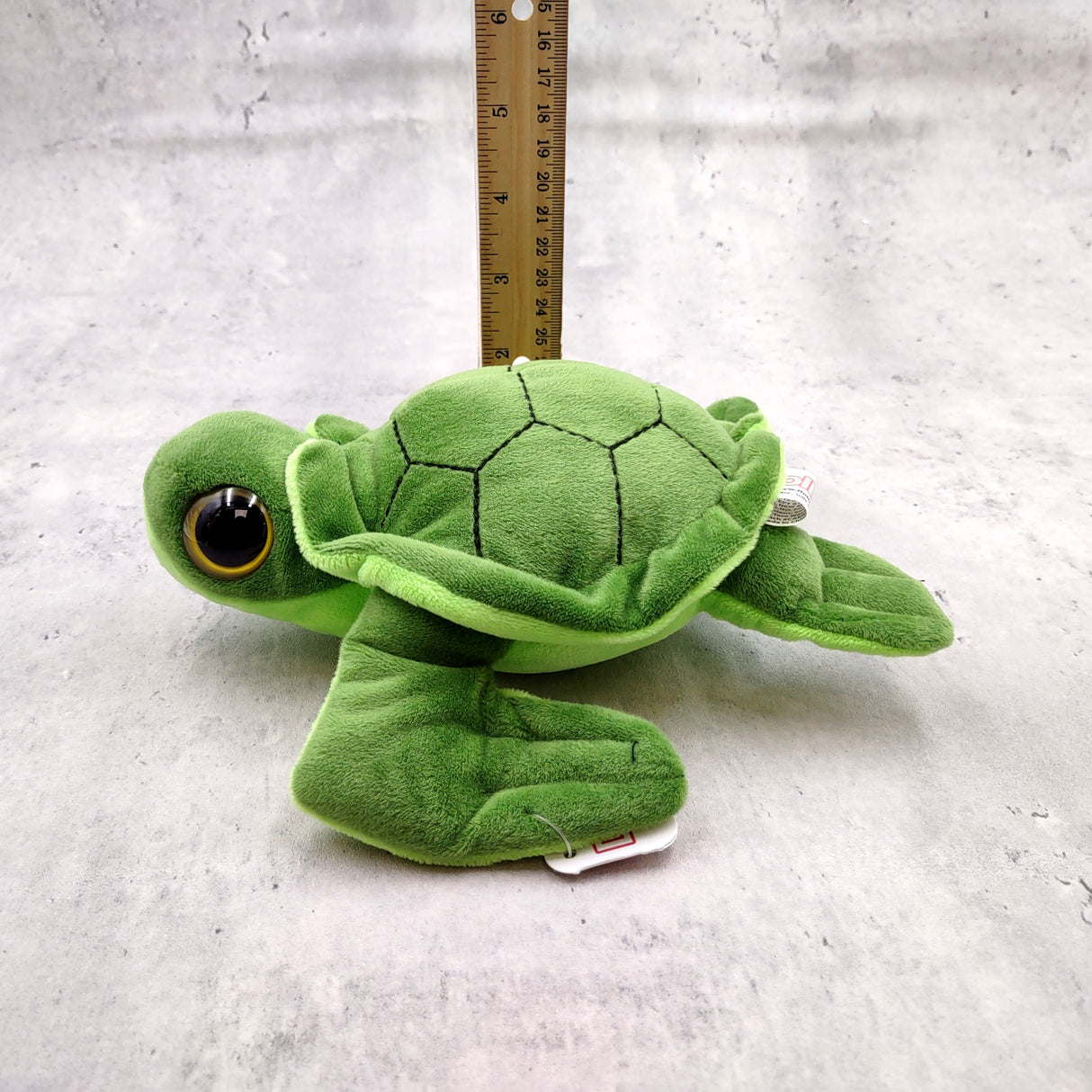 Big Eyed Sea Turtle Plush Animal (1 stuffed animal approx. 6+ inches long) Large Eyed Plush Sea Turtle Toy ideal gift for someone special!
