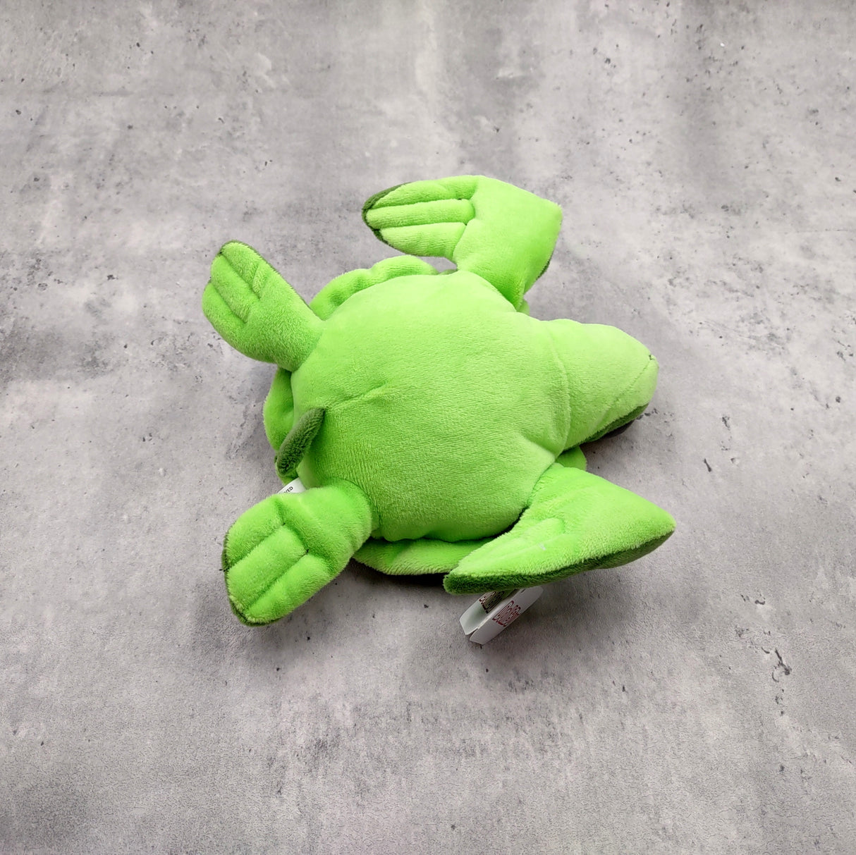 Big Eyed Sea Turtle Plush Animal (1 stuffed animal approx. 6+ inches long) Large Eyed Plush Sea Turtle Toy ideal gift for someone special!