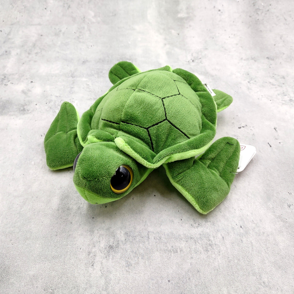 Big Eyed Sea Turtle Plush Animal (1 stuffed animal approx. 6+ inches long) Large Eyed Plush Sea Turtle Toy ideal gift for someone special!