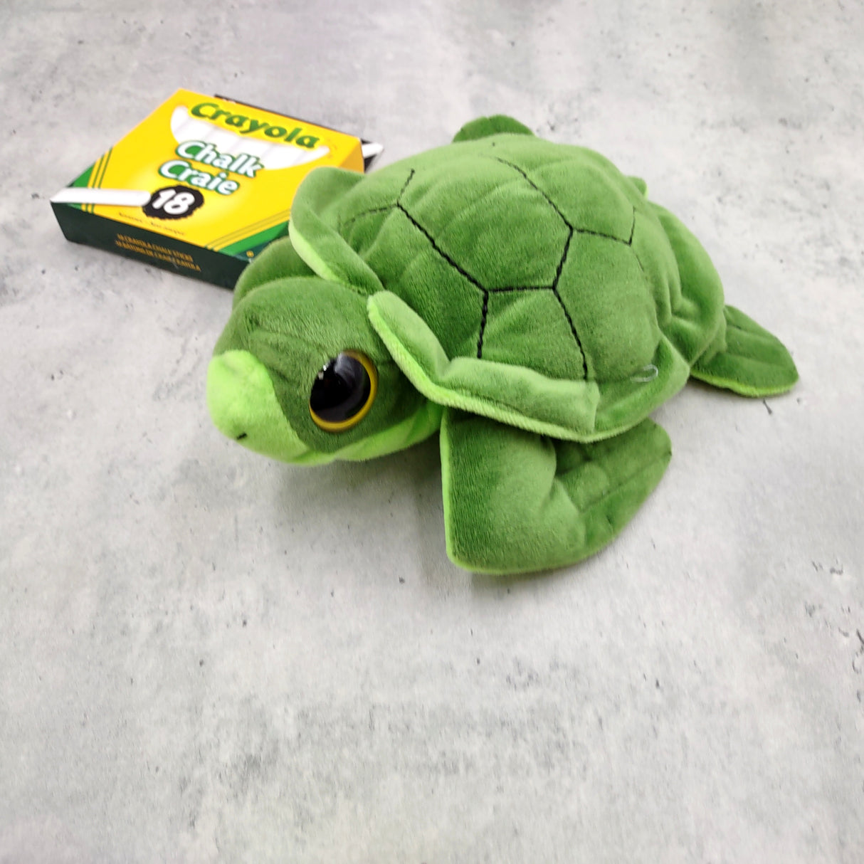 Big Eyed Sea Turtle Plush Animal (1 stuffed animal approx. 6+ inches long) Large Eyed Plush Sea Turtle Toy ideal gift for someone special!