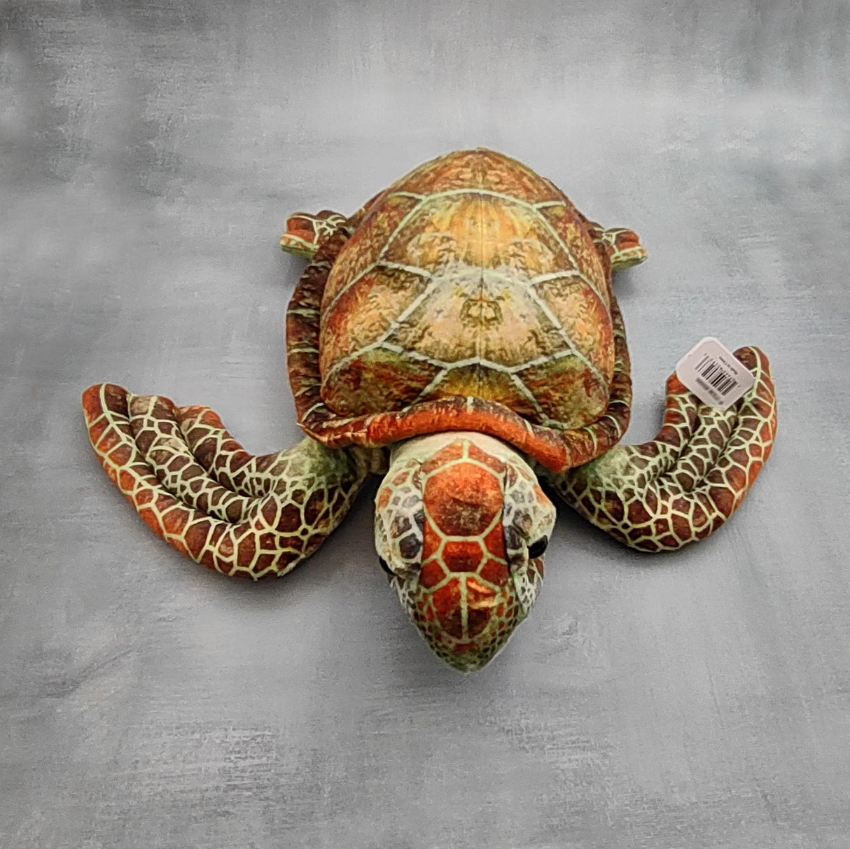 Adorable Sea Turtle Plush (1 stuffed animal approx. 14 inches long) Highly Detailed Stuffed Sea Turtle ideal gift for kids and adults!