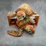 Adorable Sea Turtle Plush (1 stuffed animal approx. 14 inches long) Highly Detailed Stuffed Sea Turtle ideal gift for kids and adults!