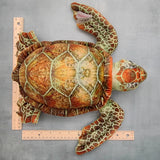 Adorable Sea Turtle Plush (1 stuffed animal approx. 14 inches long) Highly Detailed Stuffed Sea Turtle ideal gift for kids and adults!