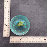Green Sea Turtle Seasonal Holiday Water Globe (1 globe approx. 4+ inches tall) Charming Brown Sea Turtle Wave Globe for coastal display!
