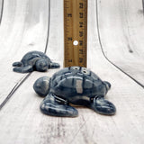 Sea Turtle Salt Pepper Shaker Set Dark Blue White (1 shaker set approx. 3 inches) Blue Sea Turtle Spice Shaker Set for kitchen or table!
