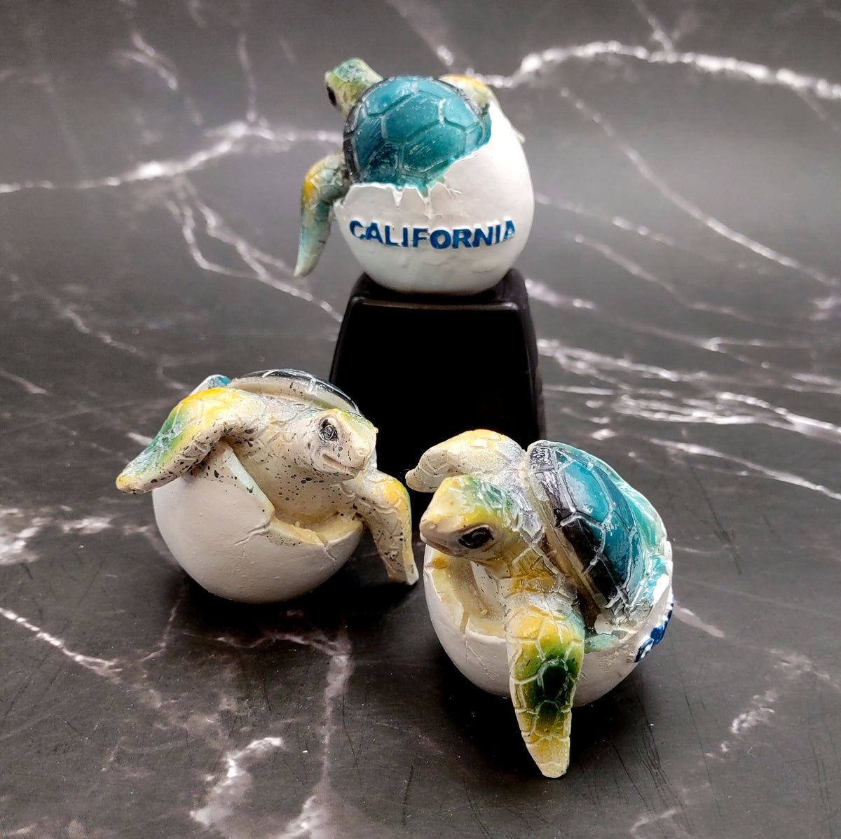 Sea Turtle Egg Hatchling Aqua Blue Shell (1 sea turtle approx. 2+ inches) Blue Painted Resin Baby Sea Turtle Egg for coastal home décor!