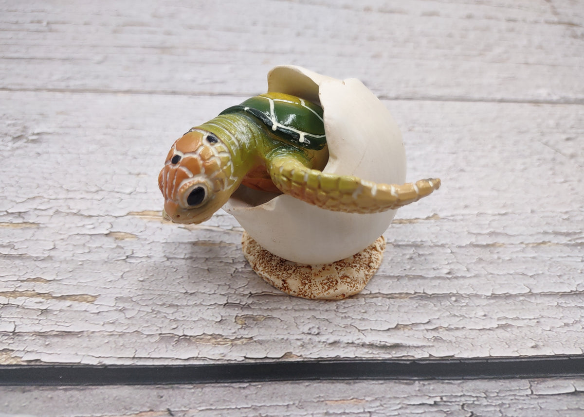 Green Baby Sea Turtle Hatching Figure (1 turtle approx. 3+ inches) Green Painted Resin Baby Turtle Egg Figure for coastal home décor!