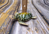 Green Sea Turtle Figurine Painted Resin (1 turtle approx. 5+ inches long) Green Painted Resin Sea Turtle Figure for coastal home decor!