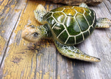 Green Sea Turtle Figurine Painted Resin (1 turtle approx. 5+ inches long) Green Painted Resin Sea Turtle Figure for coastal home decor!